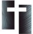 cropped cropped saog 2026logo 3.png